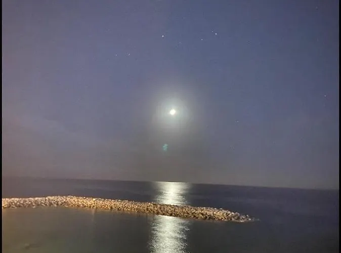 Flores 1 * Playa de las Américas