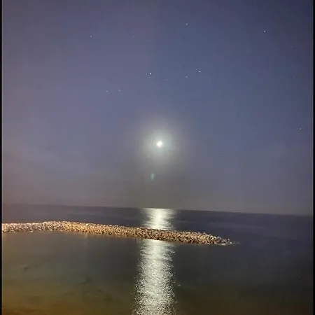 Flores 1 * Playa de las Américas