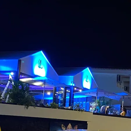 Flores 1 * Playa de las Américas