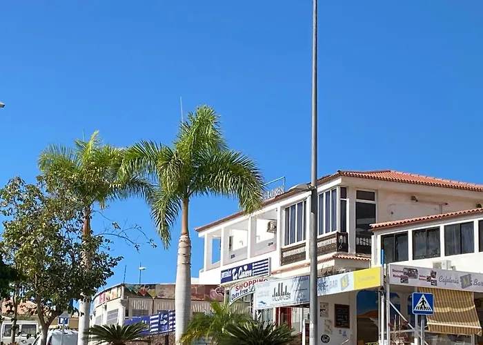 Flores 1 美洲海滩