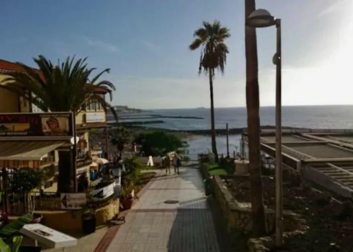 Flores 1 * 美洲海滩