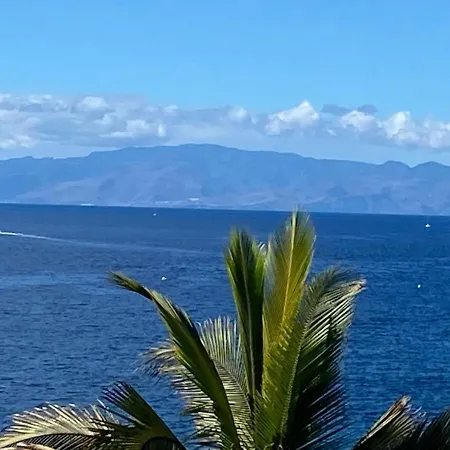 펜션 Flores 1 플라야데라스아메리카스