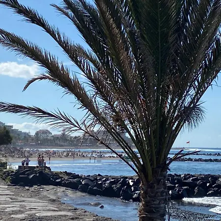 Hébergement de vacances Flores 1 *