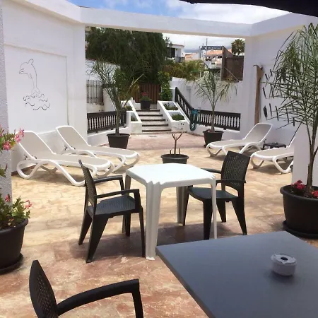 Flores 1 Playa de las Americas (Tenerife)